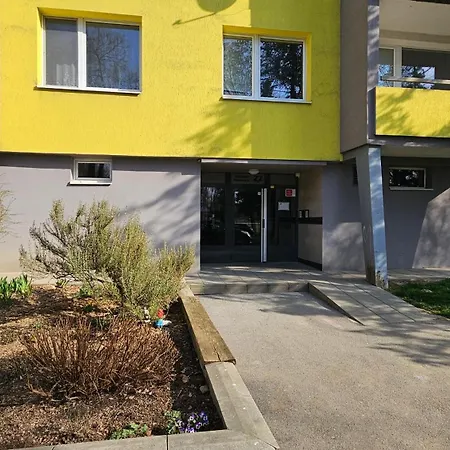 Orchidea * Prešov