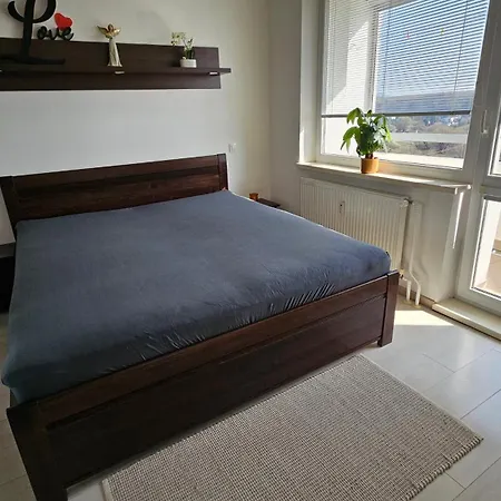 Orchidea Apartamento *